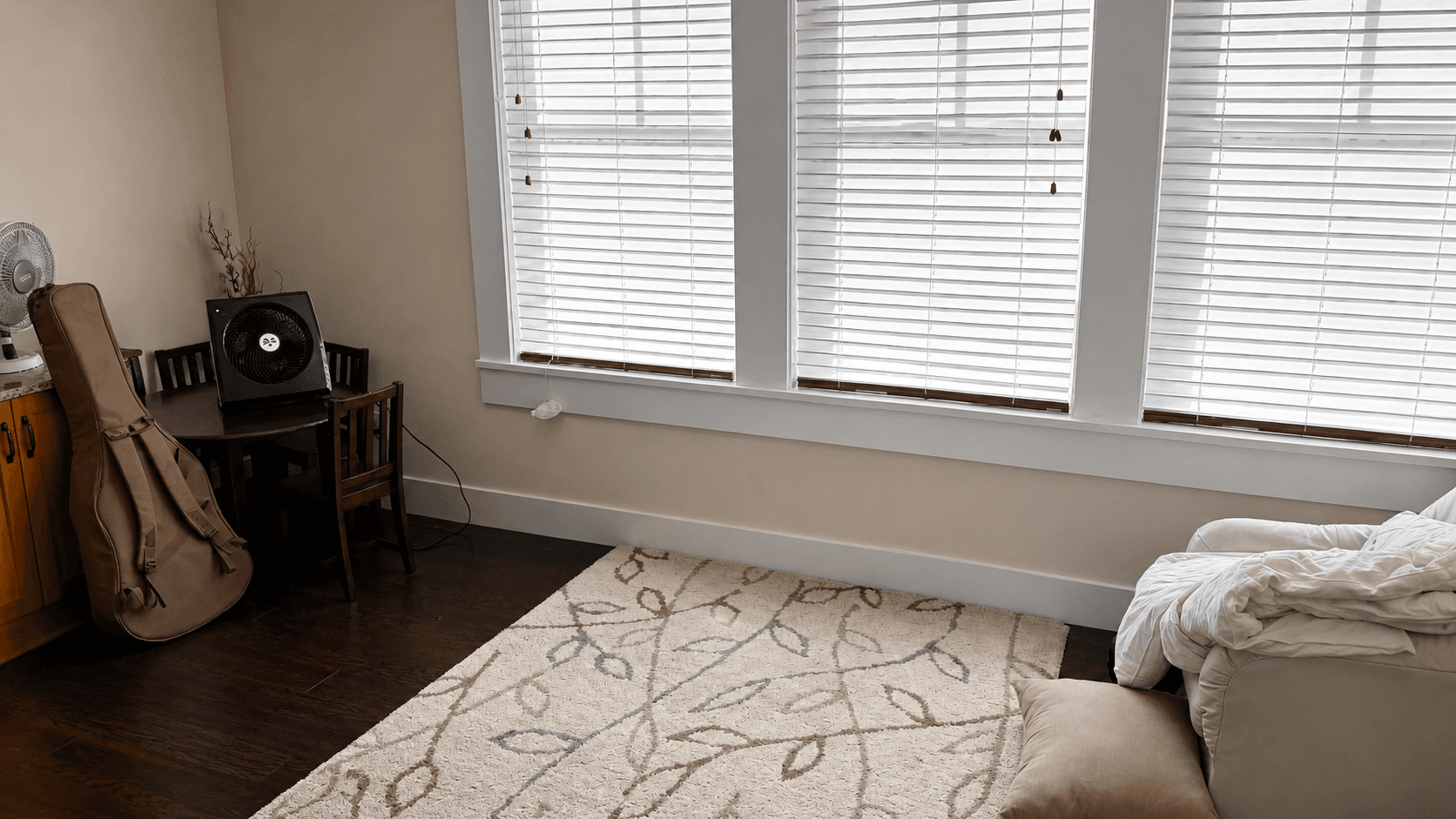 Before cleaning: Living Space